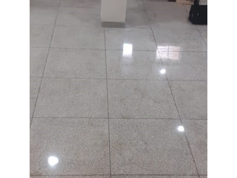 Mosaic Floor Polishing