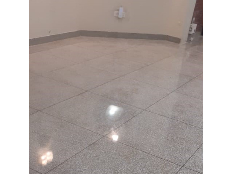 Mosaic Floor Polishing