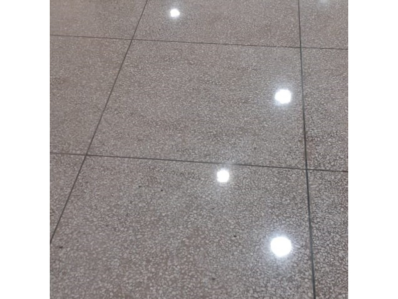 Mosaic Floor Polishing