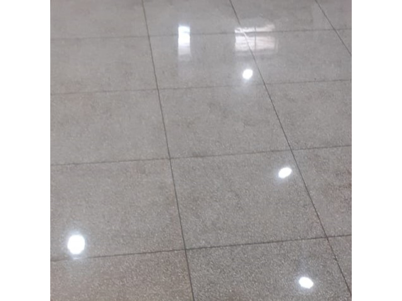 Mosaic Floor Polishing