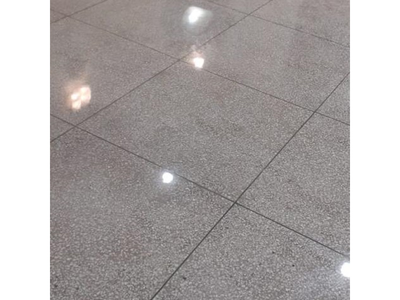 Mosaic Floor Polishing