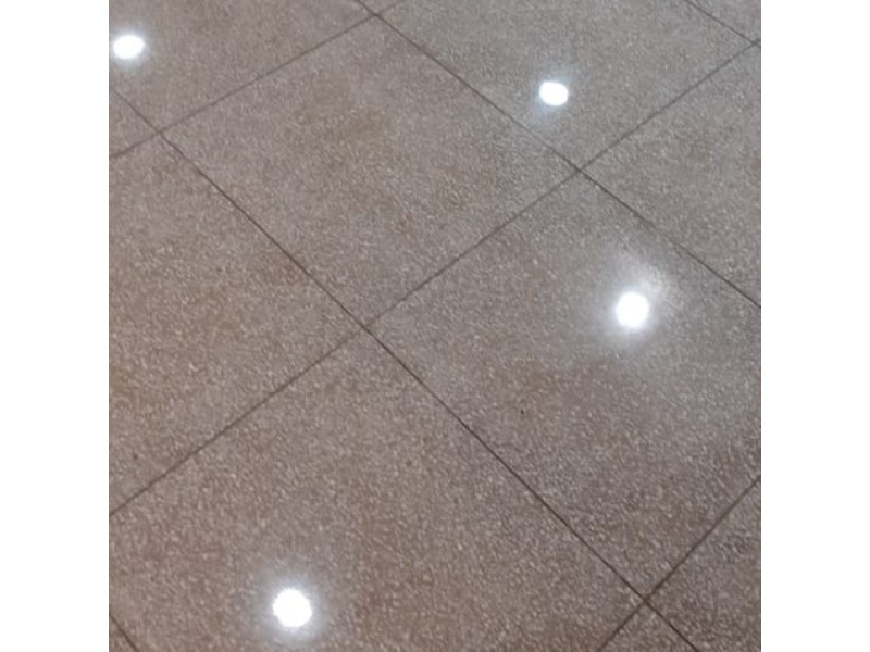 Mosaic Floor Polishing