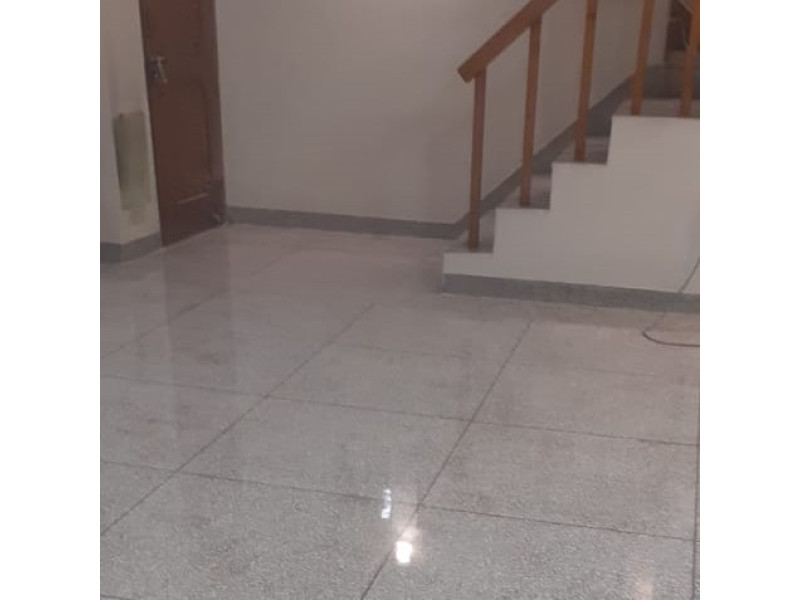 Mosaic Floor Polishing