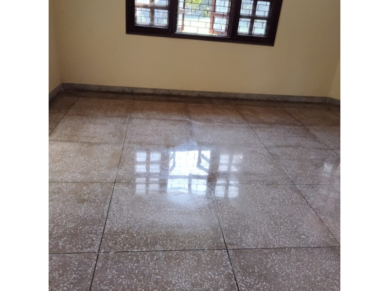 Mosaic Polishing