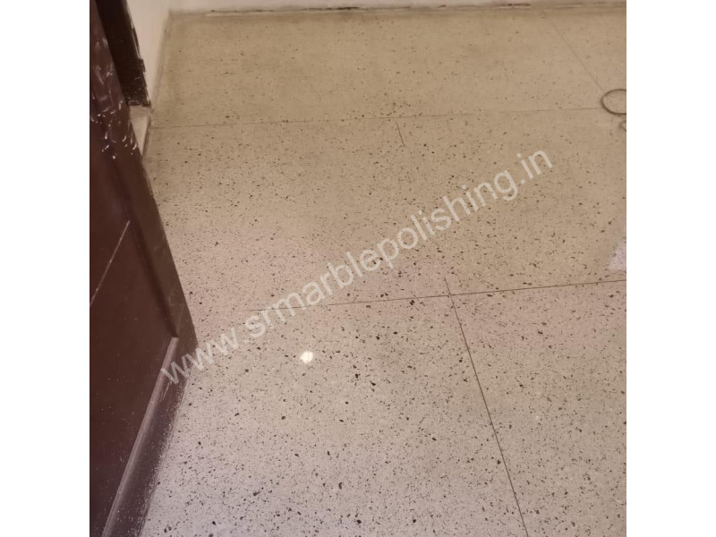 Mosaic Floor Polishing