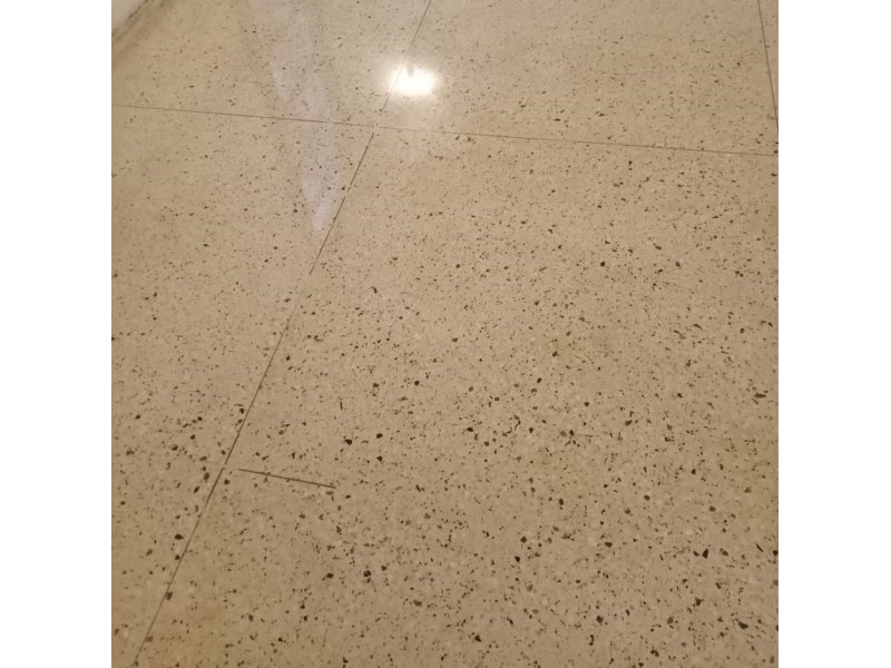 Mosaic Floor Polishing