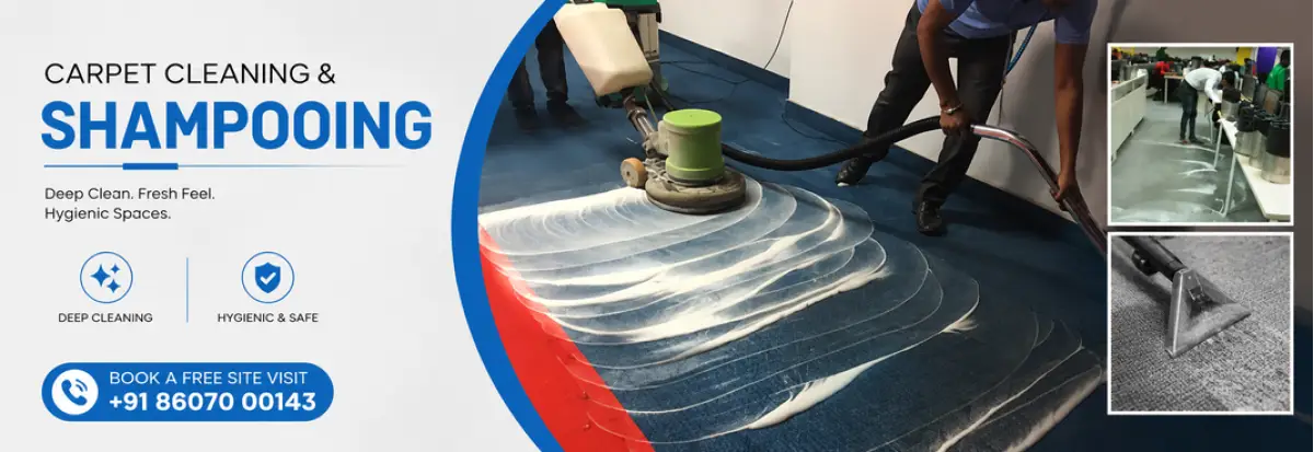 Carpet Shampooing In Gurgaon