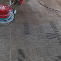 Carpet Shampooing Service Provider in Gurgaon
