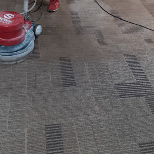 Carpet Cleaning And Shampooing Service In Ballabhgarh