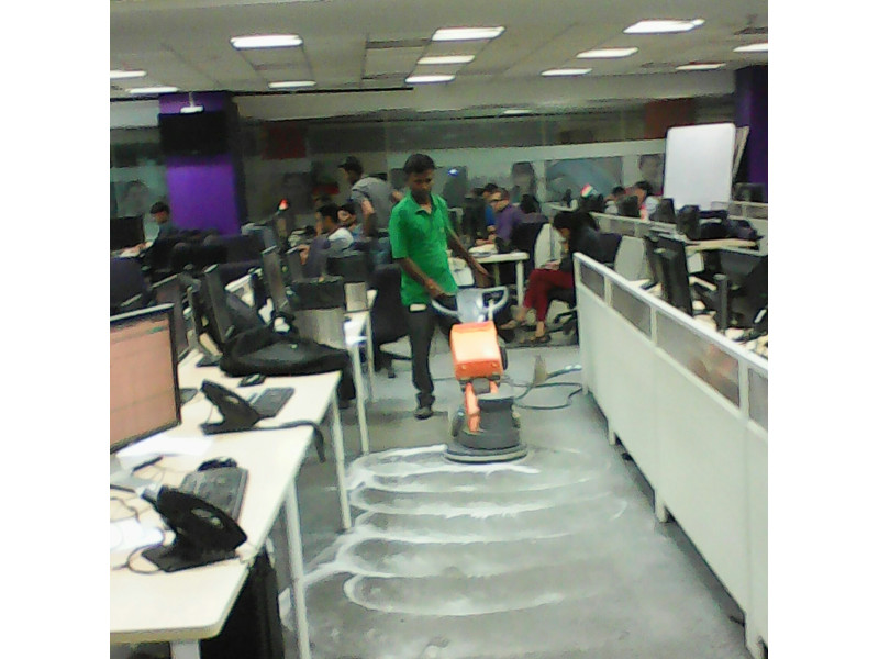Carpet Shampooing