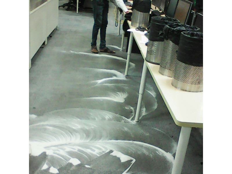 Carpet Shampooing Services