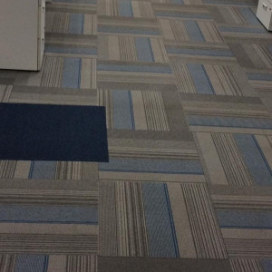 Carpet Shampooing/Cleaning Service In Greater Noida