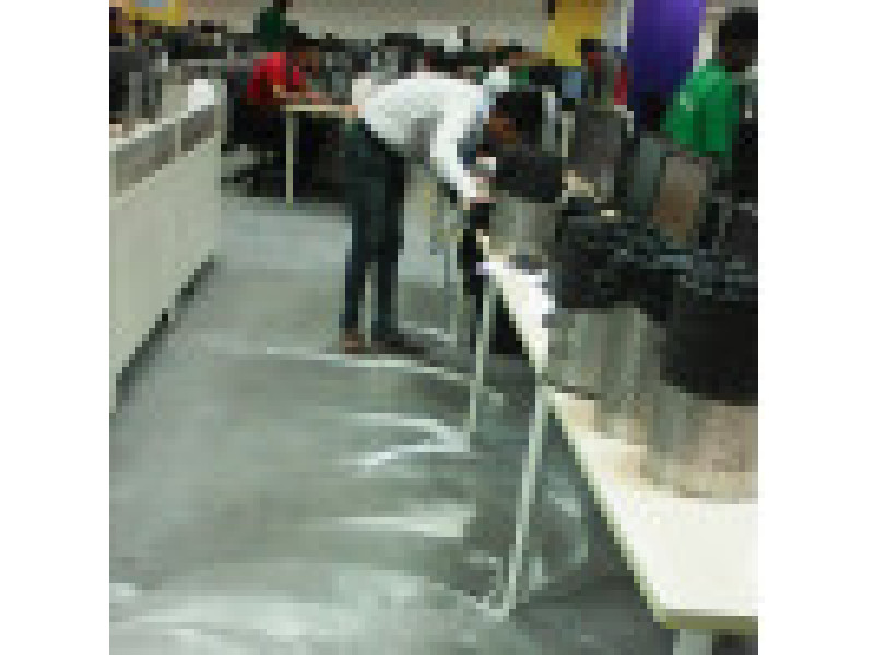 Red Carpet Cleaning