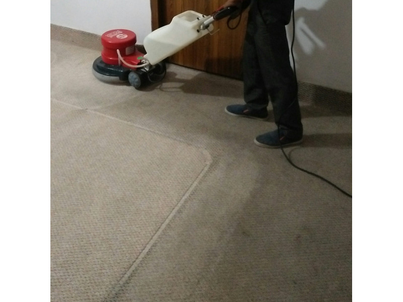 Residential Carpet Cleaning Service
