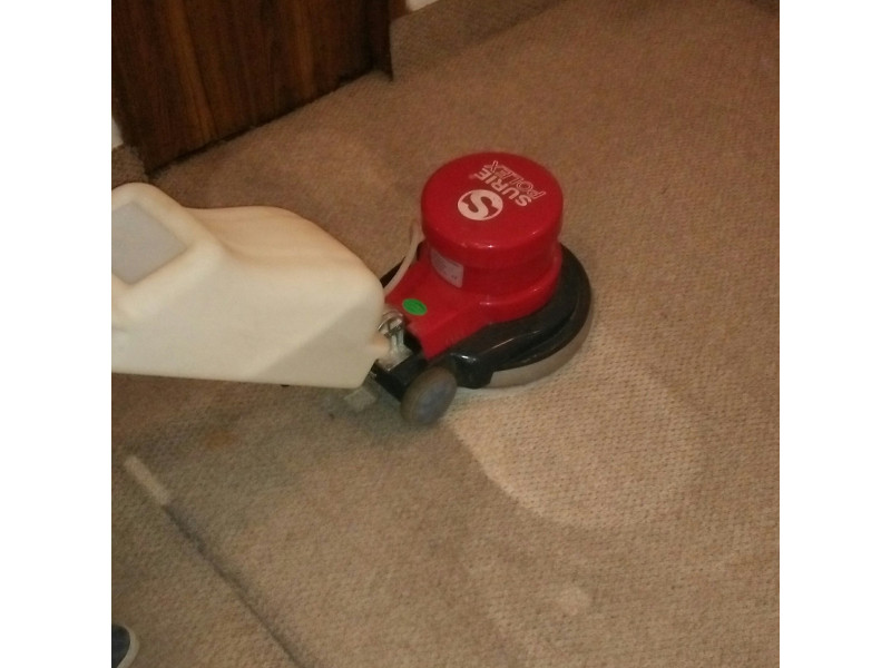 Fabric Carpet Cleaning Service