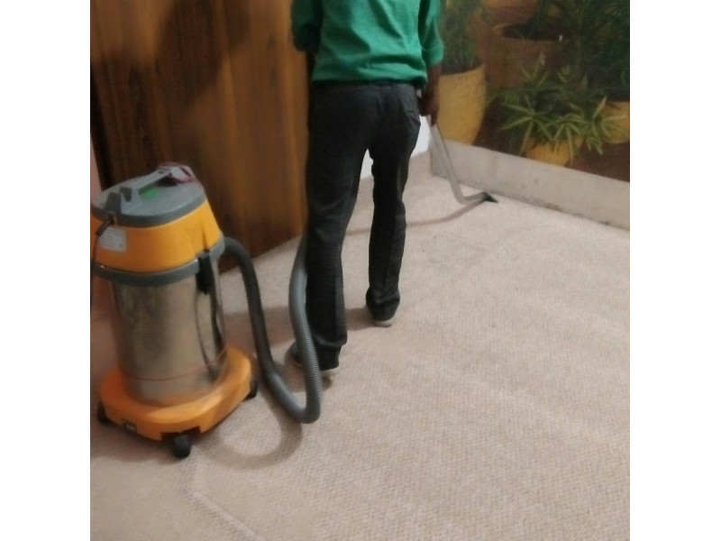 Best Carpet Cleaning Services