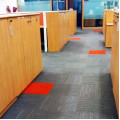 Carpet Cleaning And Shampooing Service In Delhi