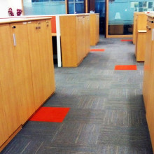 Carpet Cleaning And Shampooing Service in Faridabad