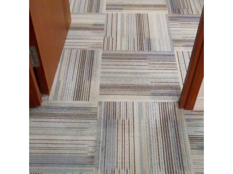 Professional Carpet Cleaning