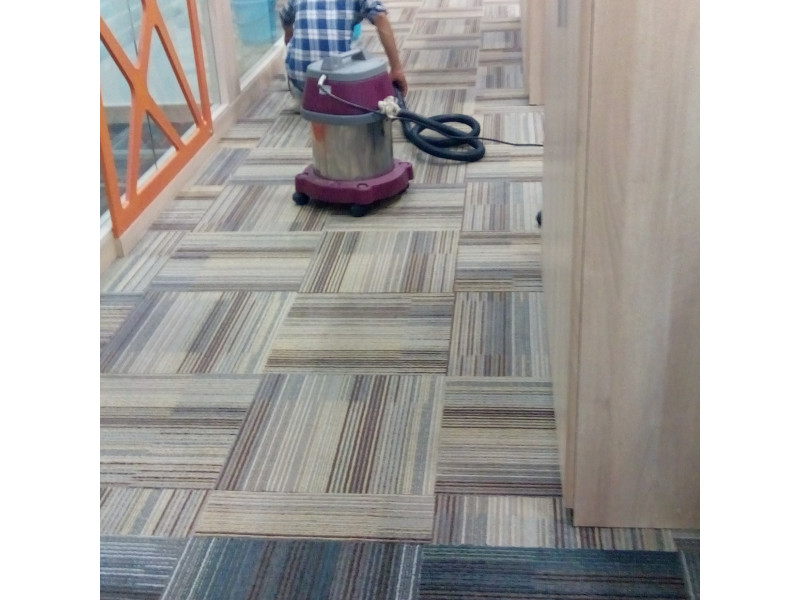 Residential Carpet Cleaning Service