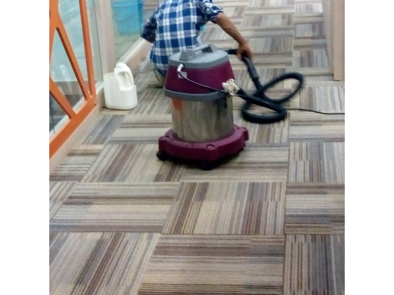 Carpet Shampooing Service
