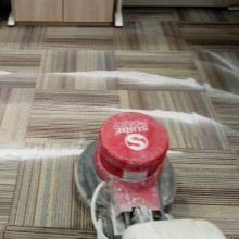 Carpet Shampooing/Cleaning Service In Noida