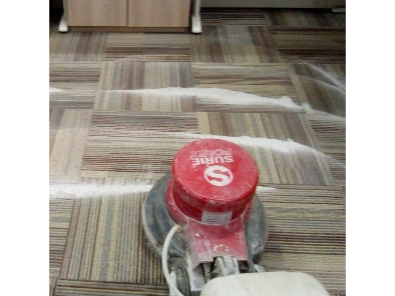 Carpet Shampooing