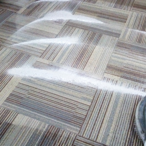 Cut & Loop Carpet Cleaning Service In Delhi In Gurgaon In Noida