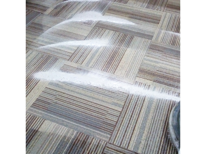 Residential Carpet Cleaning Services