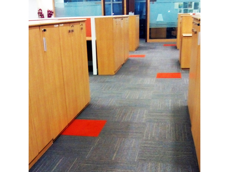 Red Carpet Cleaning Service