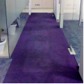 Frieze Carpet Cleaning Service in Gurgaon