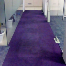 Frieze Carpet Cleaning Service in Gurgaon In Noida