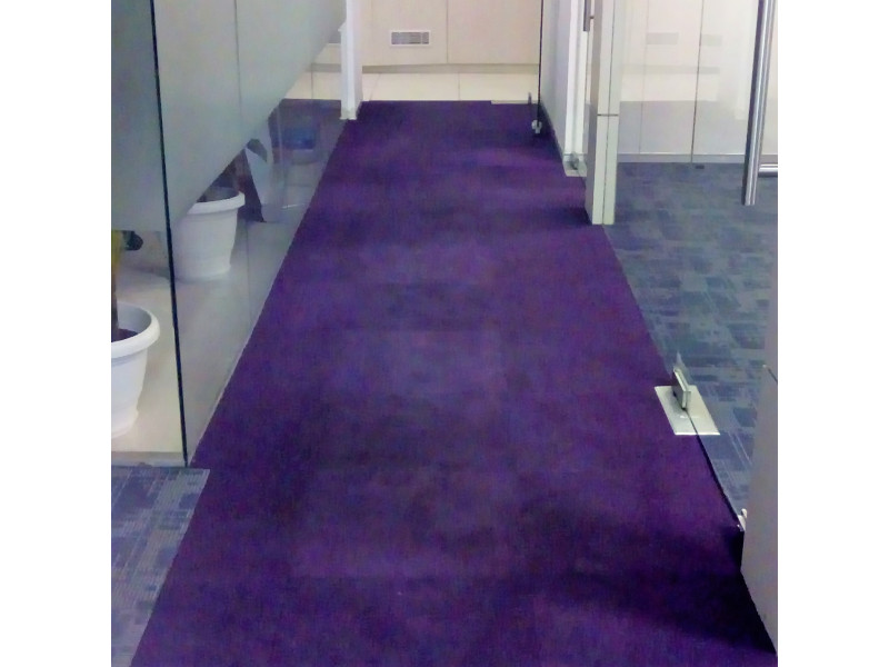 Residential Carpet Cleaning Services