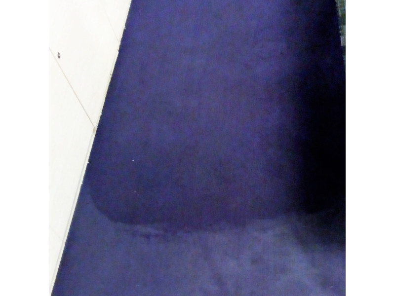 Residential Carpet Cleaning Service