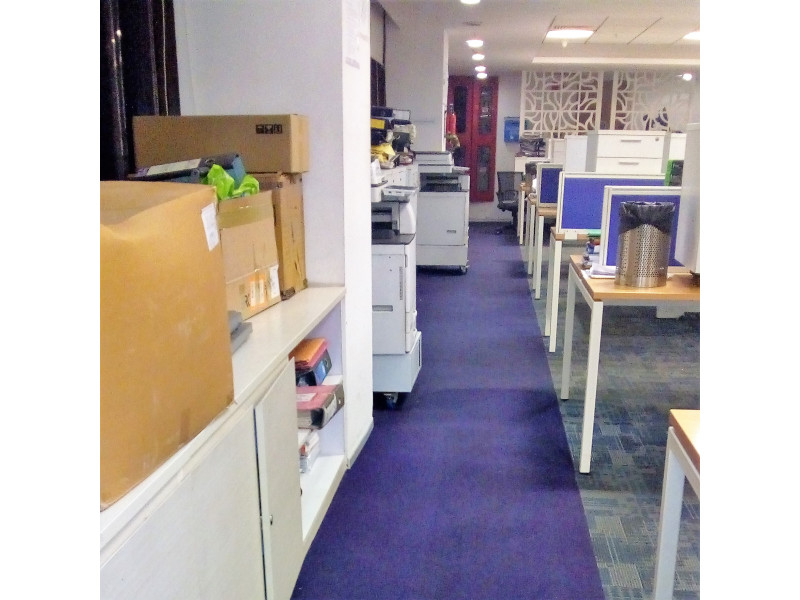 Carpet Shampooing Services