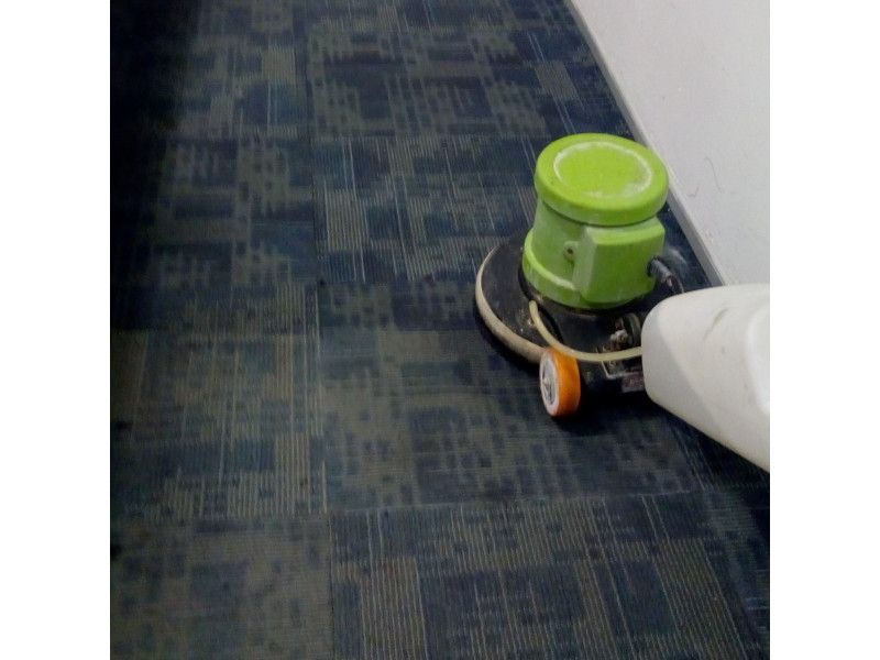 Carpet Dry Cleaning Service