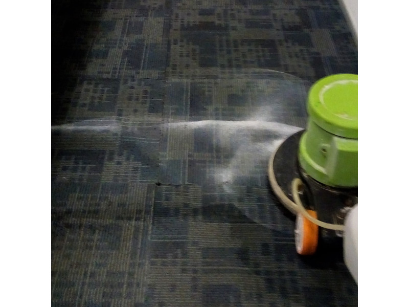 Top Carpet Shampooing Service
