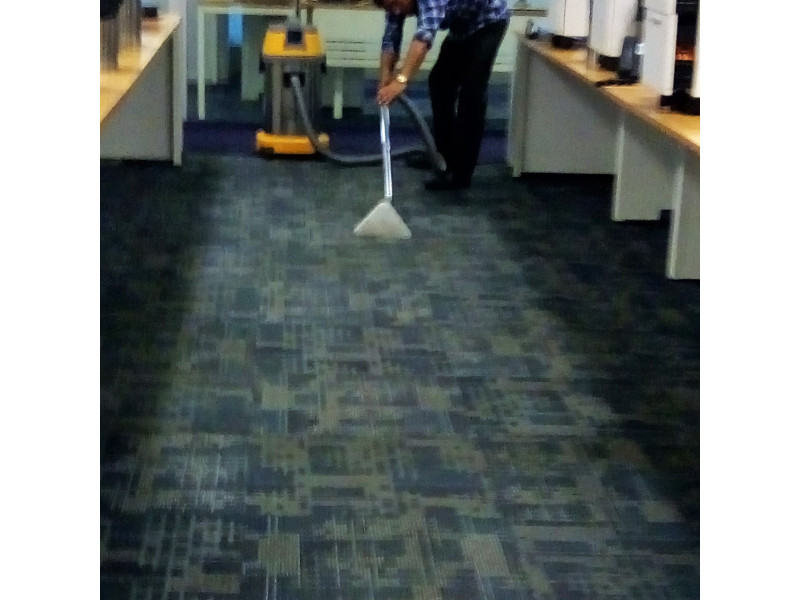 Residential Carpet Cleaning Services