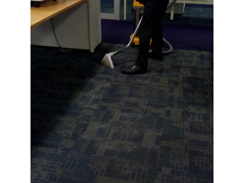 Red Carpet Cleaning