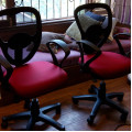 Chair Cleaning in Faridabad