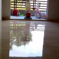 Marble Floor Polishing in Mehrauli