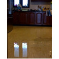 Indian Marble Floor Polishing in Sudarshan Park