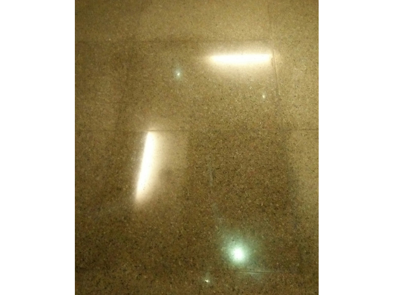 Floor Buffing Service