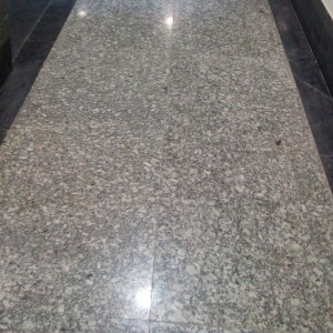 Granite Floor Cleaning Service In Faridabad