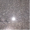 Granite Floor Polishing in Devla