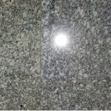 Granite Floor Buffing in Devla