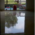 Marble Floor Cleaning Service in Abhay Khand 2