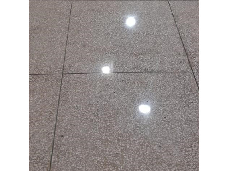 Diamond Floor Polishers