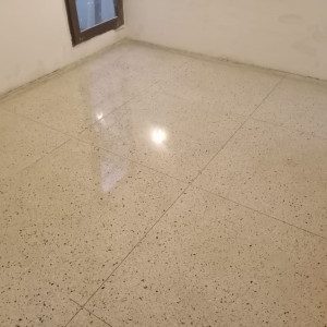 Mosaic Floor Crystallization Service in Delhi
