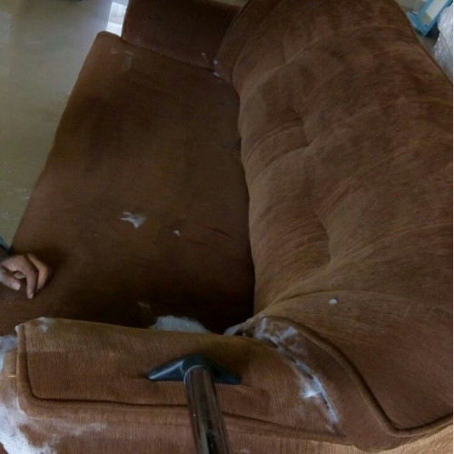 Sofa Cleaning - Best RUI, Nagpur, Maharashtra products